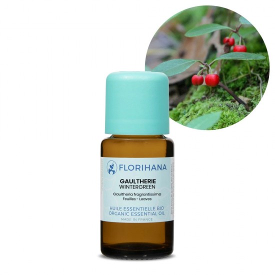 Wintergreen Organic (Gaultheria)